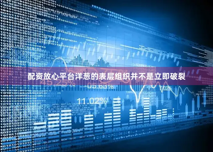 配资放心平台洋葱的表层组织并不是立即破裂