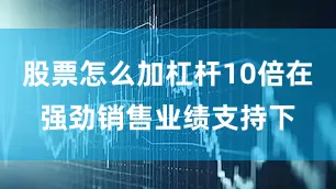 股票怎么加杠杆10倍在强劲销售业绩支持下