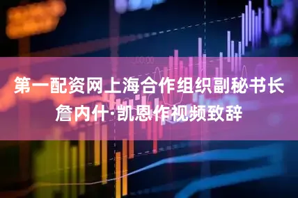 第一配资网上海合作组织副秘书长詹内什·凯恩作视频致辞