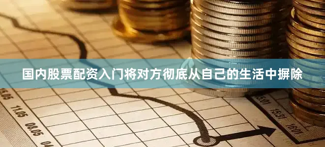 国内股票配资入门将对方彻底从自己的生活中摒除