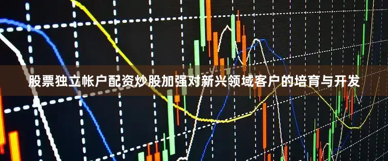 股票独立帐户配资炒股加强对新兴领域客户的培育与开发