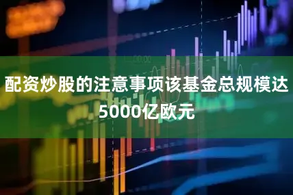 配资炒股的注意事项该基金总规模达5000亿欧元