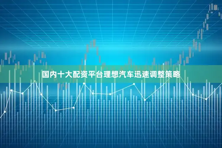国内十大配资平台理想汽车迅速调整策略