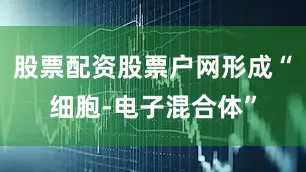 股票配资股票户网形成“细胞-电子混合体”